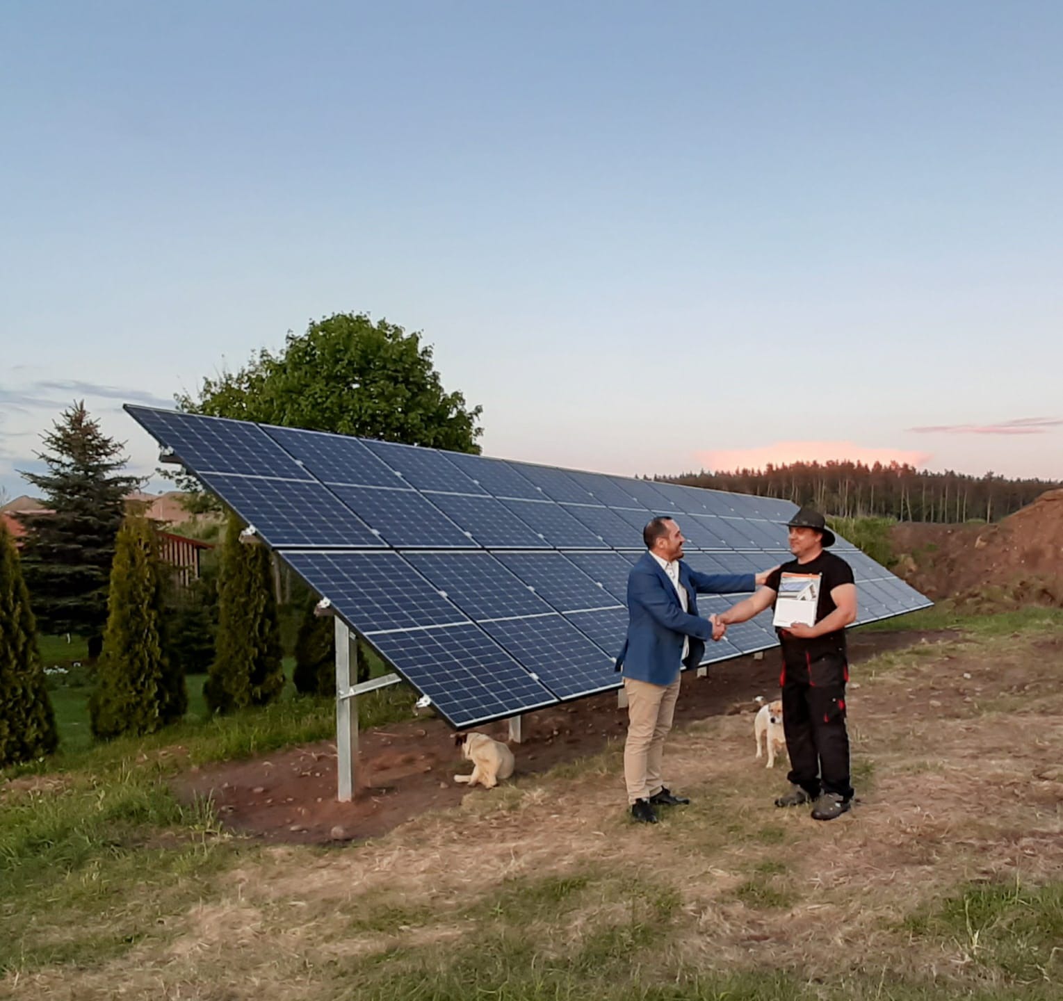 Uścisk dłoni klienta i instalatora na tle ukończonej instalacji paneli słonecznych na gruncie, z widocznym certyfikatem w dłoni instalatora, pies leżący pod konstrukcją i drugi w tle.