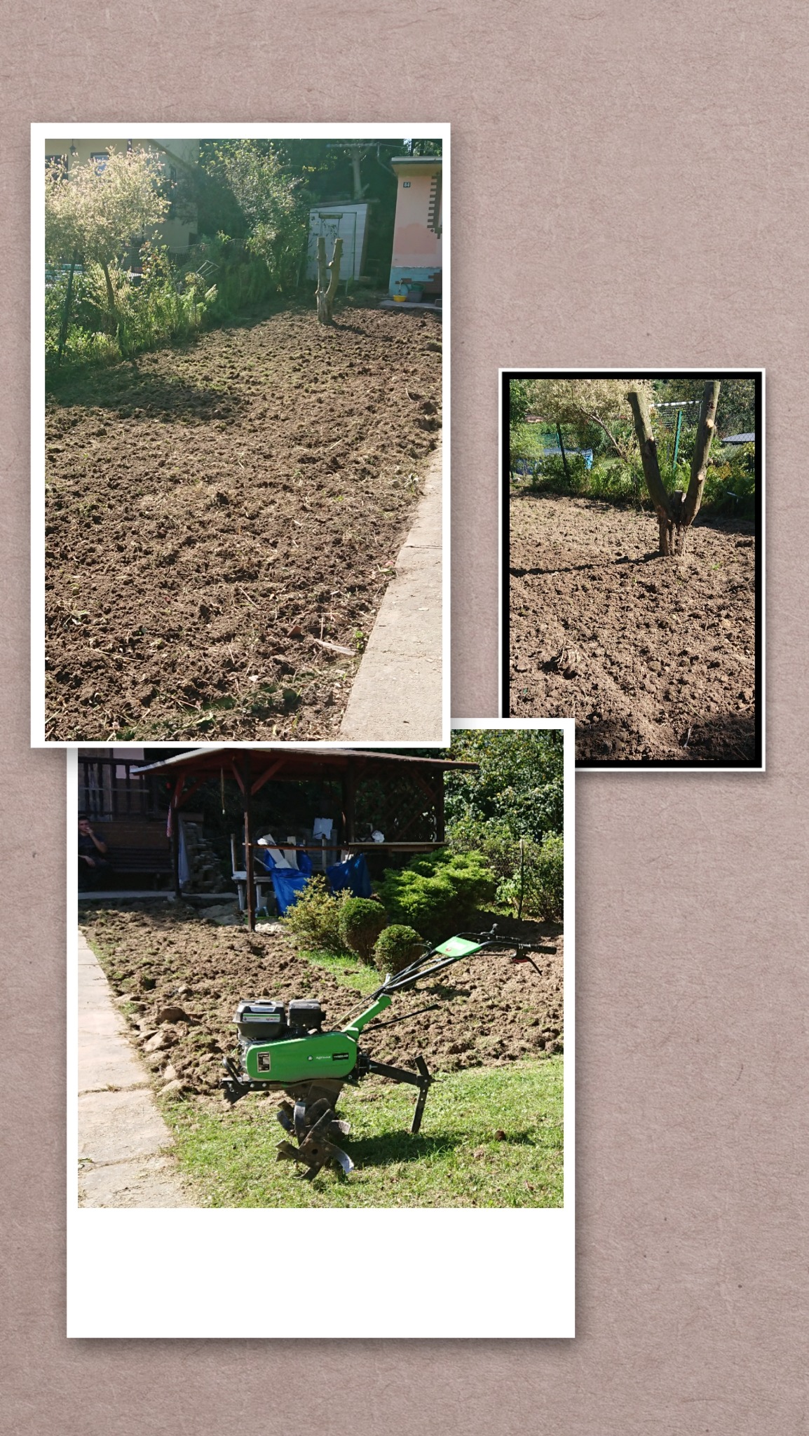 Fotokolaż przedstawiający przygotowanie ziemi pod uprawę: spulchniona gleba na działce, ziemia wokół pnia drzewa, zielony glebogryzarka na trawie obok świeżo przekopanej rabaty.