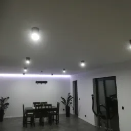 Nowoczesny salon z oświetleniem sufitowym punktowym i liniowym LED, stół z krzesłami, rośliny w donicach i minimalistyczny zegar ścienny.