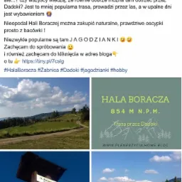 Autorski post na Facebooku