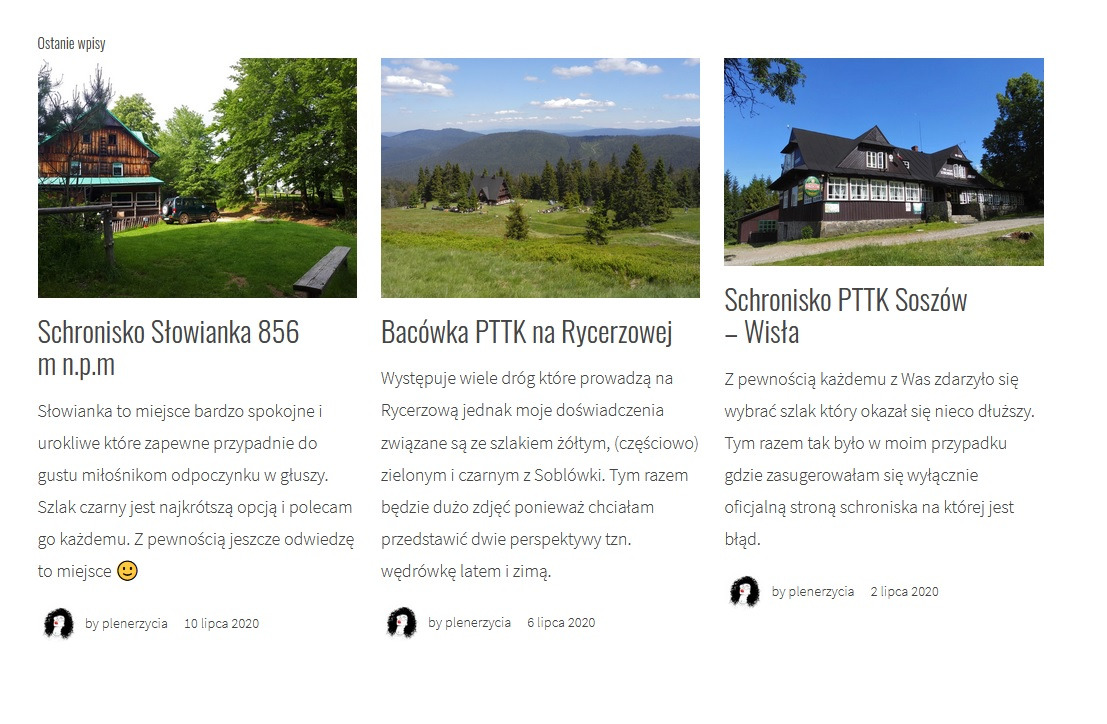 Autorskie wpisy na WordPress.