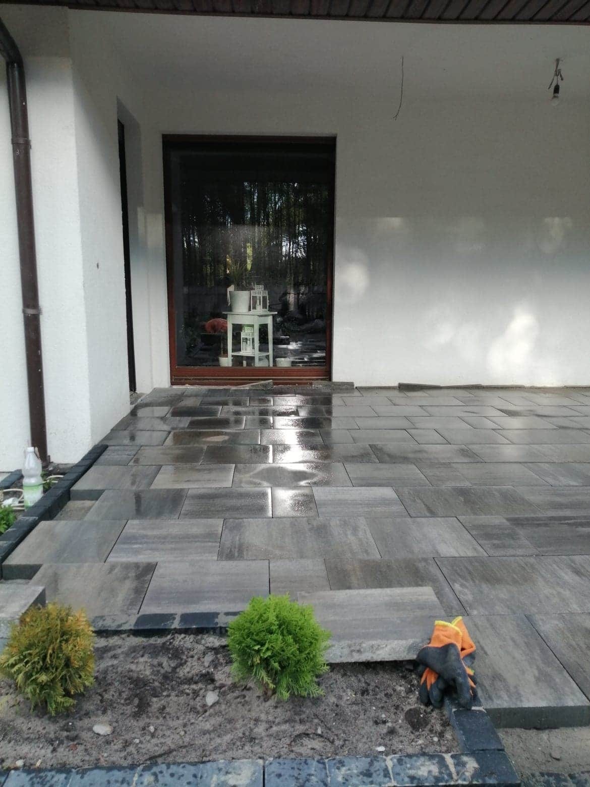 Układanie szarej kostki brukowej prostokątnej na tarasie przy domu, widoczne dwie małe tuje, robocze rękawice i butelka wody.