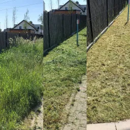 Koszenie trawnik&oacute;w