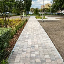 Ścieżka z kostki brukowej prowadząca przez park, z widocznymi drzewami, krzewami i budynkami w tle, oświetlona naturalnym światłem dziennym.