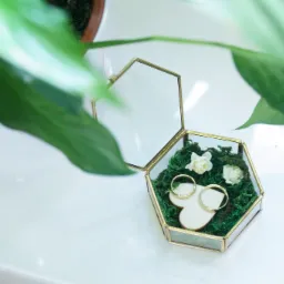 Dwa złote pierścionki w szklanym, geometrycznym pudełku wypełnionym mchem i małymi, kremowymi różyczkami, umieszczone na drewnianym sercu; widoczne liście rośliny w tle.