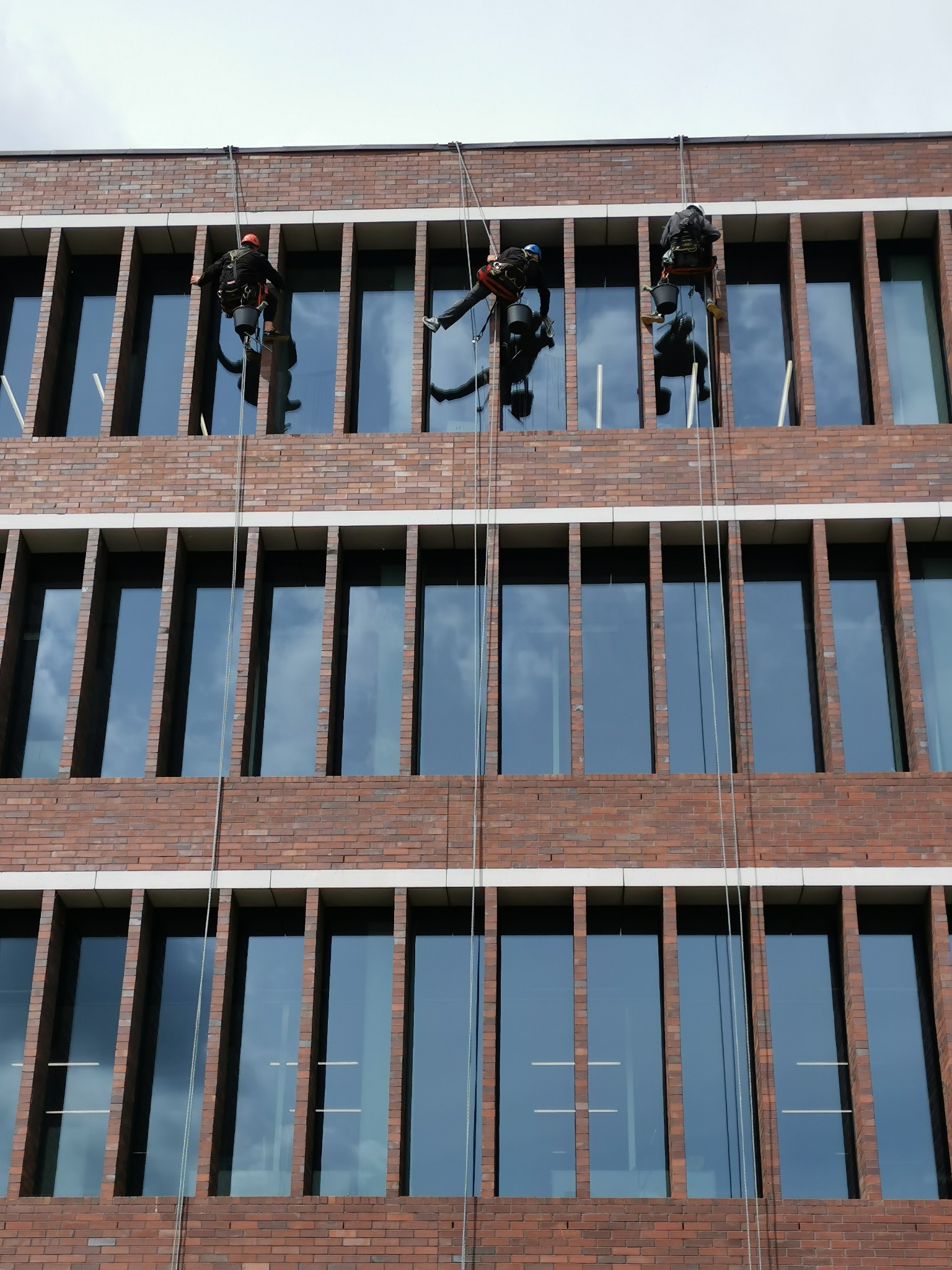 Trzech alpinistów przemysłowych, w kaskach i uprzężach, zawieszonych na linach, czyści okna na wysokościach nowoczesnego biurowca z cegły.