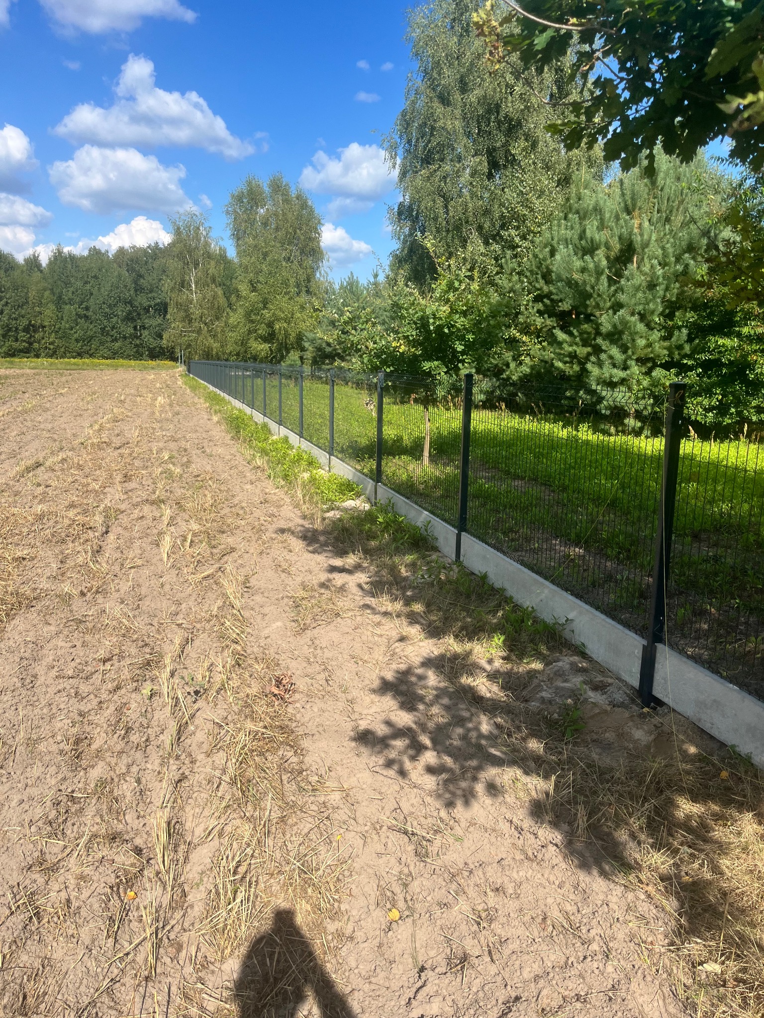 Długa, prosta siatka ogrodzeniowa z podmurówką betonową, oddzielająca pole od zarośli i drzew, widoczna z boku, z cieniem osoby w rogu kadru.