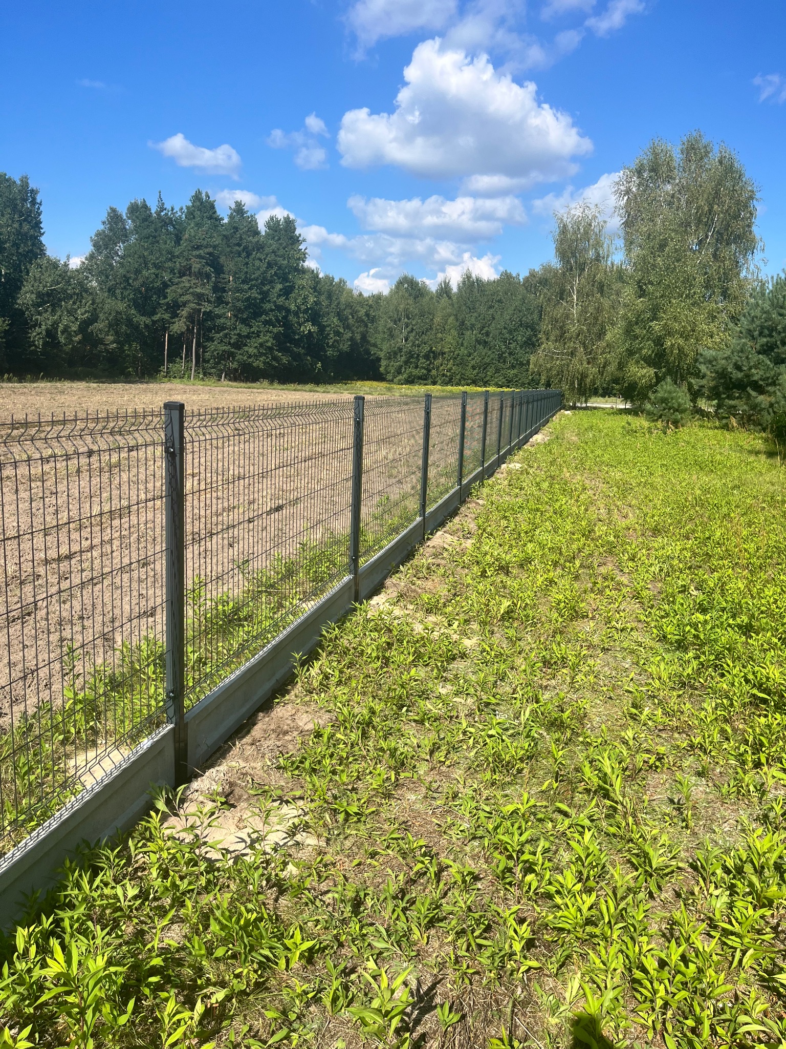 Długa, prosta siatka ogrodzeniowa z podmurówką betonową oddzielająca pole od zarośli, widok w słoneczny dzień.