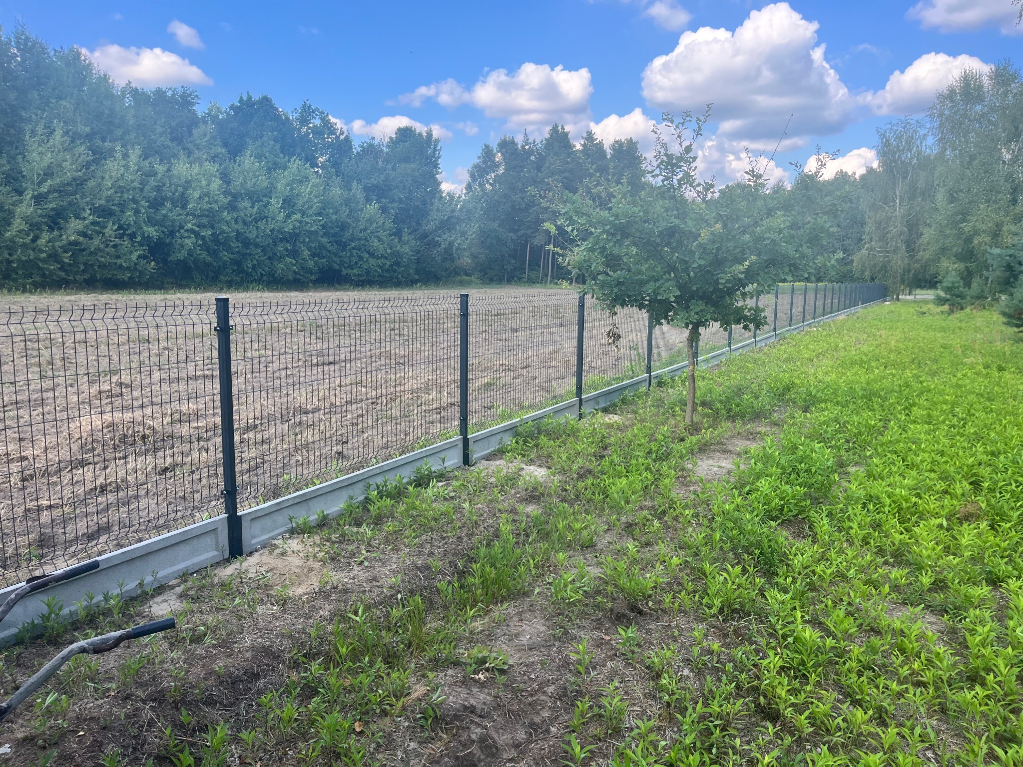 Nowoczesne ogrodzenie panelowe z podmurówką betonową na tle zieleni i błękitnego nieba z chmurami, widoczne fragmenty narzędzi.