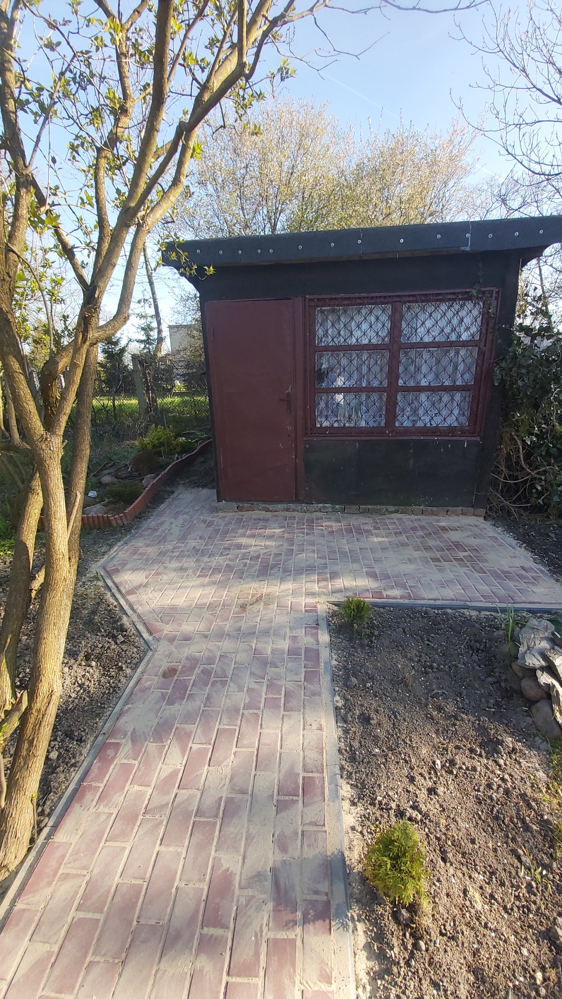 Ułożona ścieżka z cegły prowadząca do małego, ciemnego domku z brązowymi drzwiami i oknem z ozdobną kratą, widoczna zarośnięta roślinność i drzewo z młodymi liśćmi.