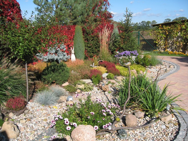 Aranżacja ogrodu z licznymi roślinami ozdobnymi, kamieniami i dekoracyjną figurką zająca, widok na zadbany trawnik i budynek w tle.