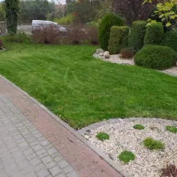 Perfekcyjnie przystrzyżony trawnik z widocznymi pasami koszenia, graniczący z kostką brukową i ozdobnym rabatem z kamyków i niskich roślin, w tle formowane krzewy i drzewa.