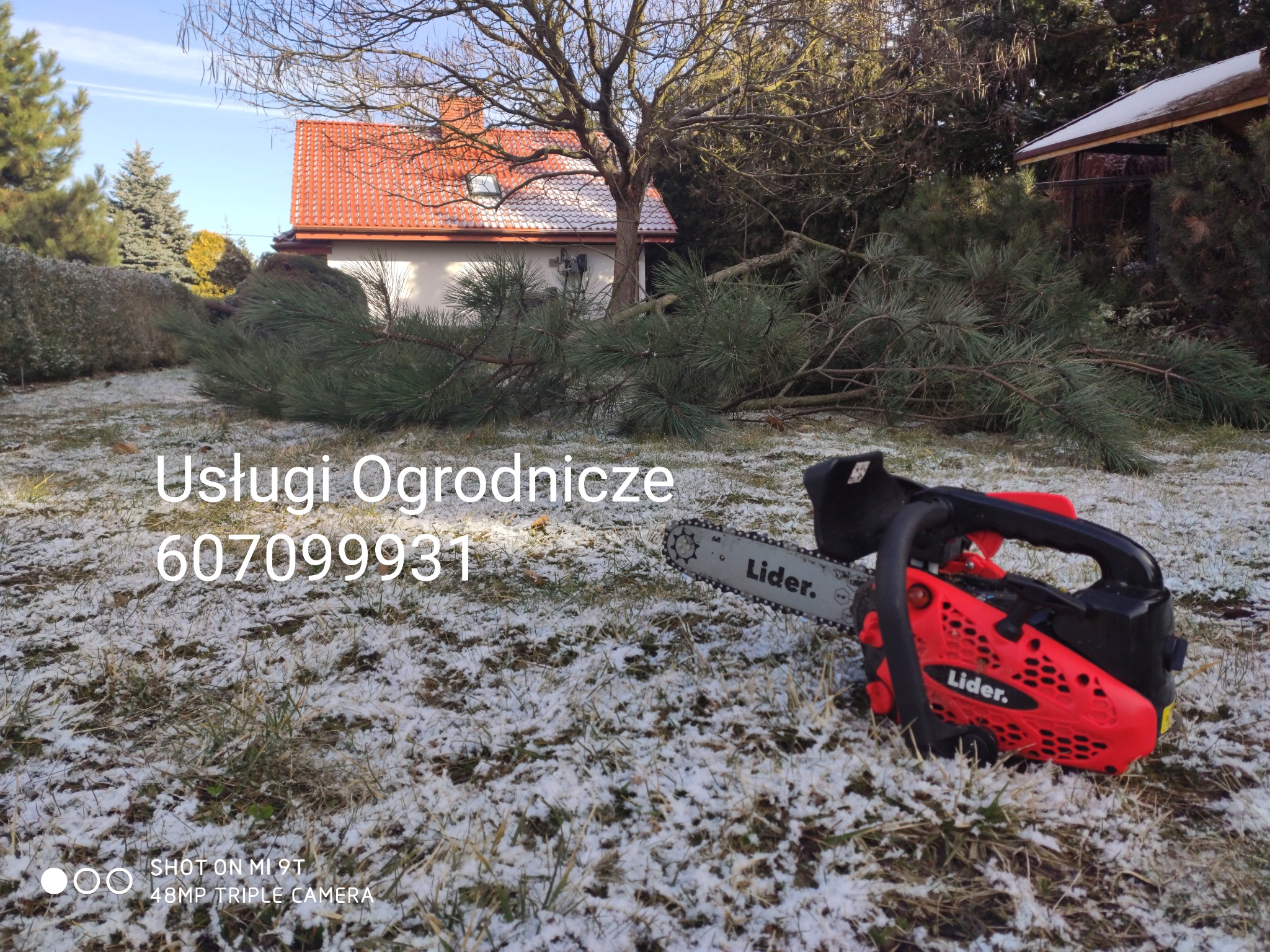 Czerwono-czarna piła łańcuchowa Lider leży na trawie pokrytej cienką warstwą śniegu, obok leżą ścięte gałęzie drzew iglastych, w tle dom z czerwoną dachówką.
