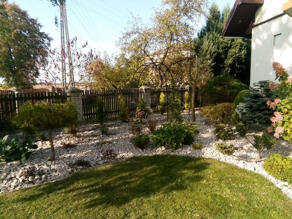 Ogród przydomowy z trawnikiem, rabatami wysypanymi białym kamieniem, niskimi drzewami i krzewami ozdobnymi oraz drewnianym ogrodzeniem w tle.