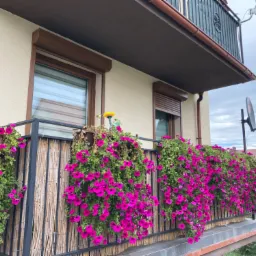 Balkon z brązowymi roletami zewnętrznymi, ozdobiony kaskadą fuksjowych kwiatów w wiszących donicach, z widoczną anteną satelitarną.