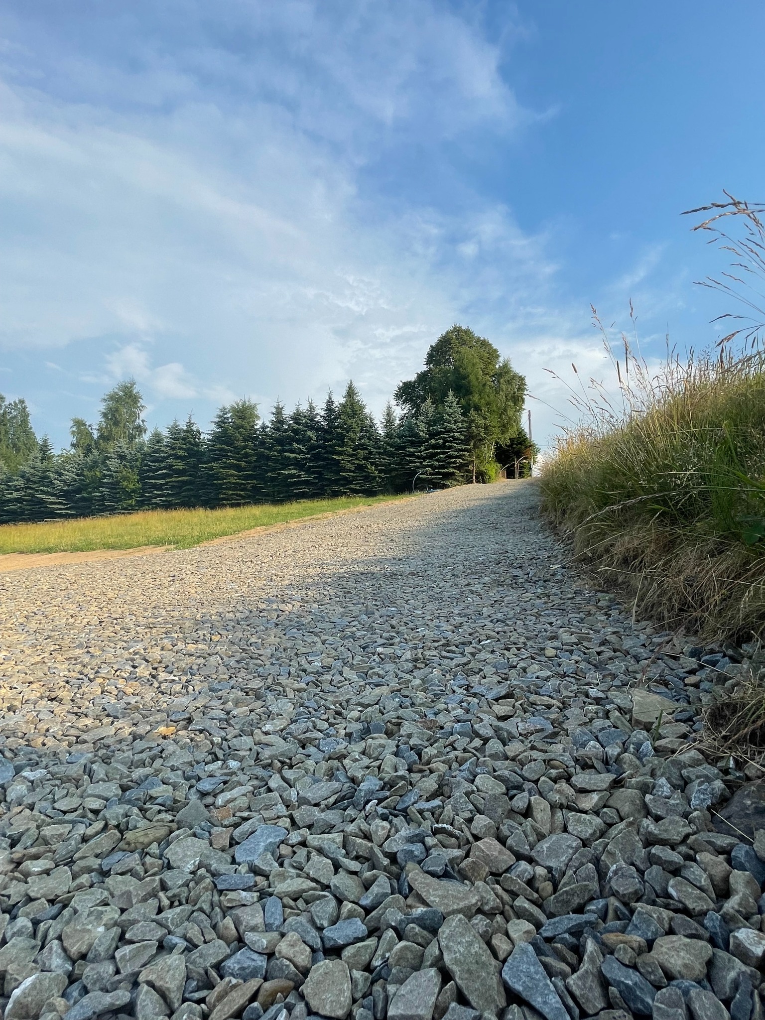 Droga dojazdowa wysypana szarym kruszywem w terenie pochyłym, widok z dołu na wzniesienie, po bokach trawa i drzewa.