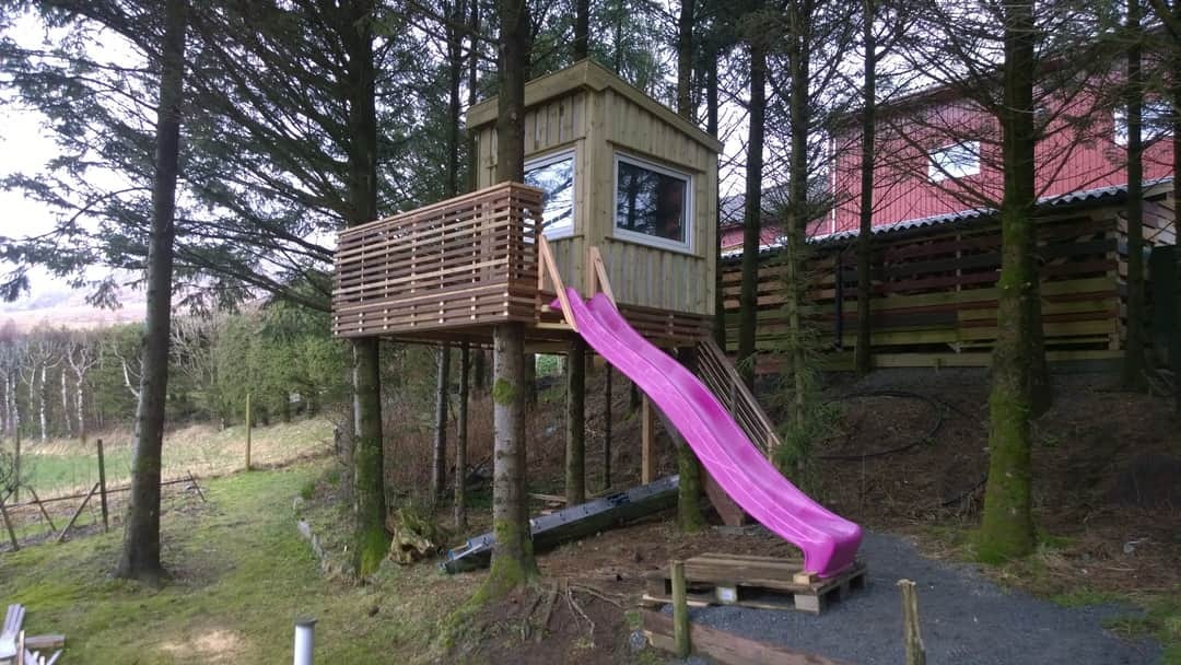 Drewniany domek na drzewie z różową zjeżdżalnią, zbudowany wokół pni drzew, z widoczną konstrukcją platformy i okna, otoczony lasem iglastym.