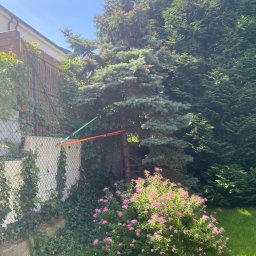 Wycinka drzew Suchy Las 2