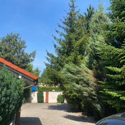 Z.P.U.H. Budomelior - Ułożona kostka brukowa na podjeździe, otoczona różnorodną zielenią: iglaki, krzewy. W tle widoczny plac zabaw i ogrodzenie z dekoracjami. Słoneczny dzień.