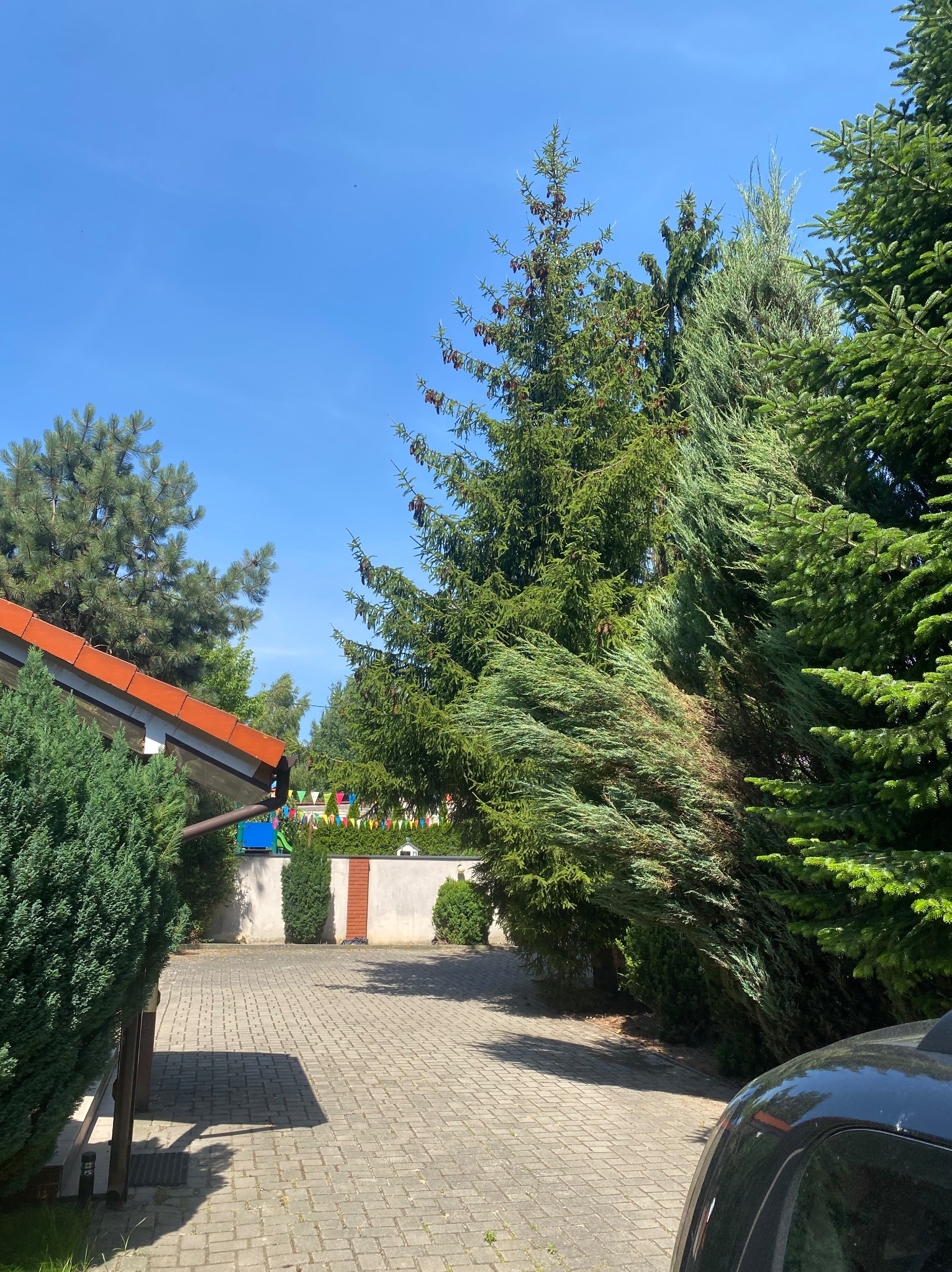 Ułożona kostka brukowa na podjeździe, otoczona różnorodną zielenią: iglaki, krzewy. W tle widoczny plac zabaw i ogrodzenie z dekoracjami. Słoneczny dzień.