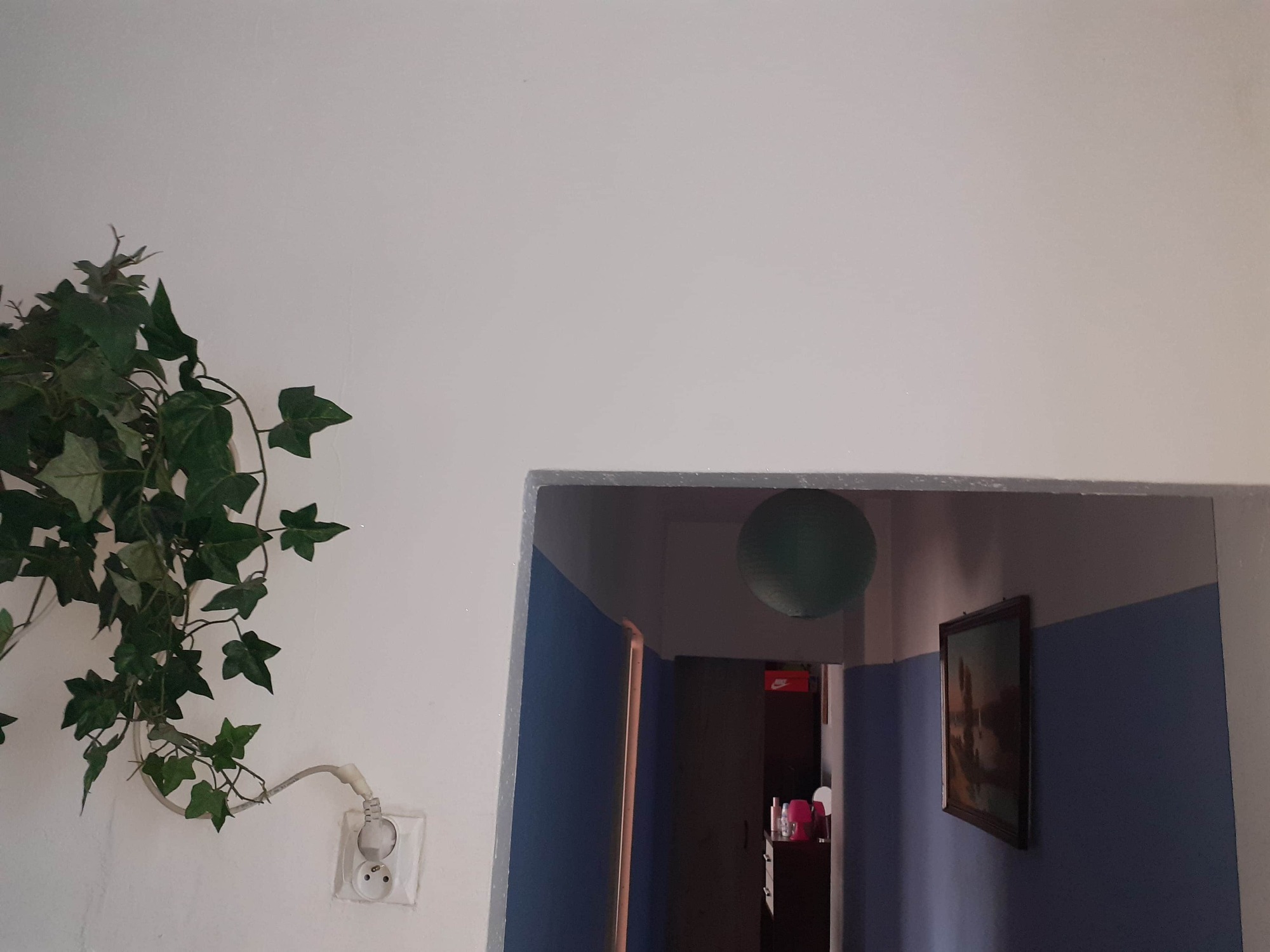 Wnętrze mieszkania z widoczną ścianą pomalowaną na biało, na której wisi sztuczny bluszcz z podłączonym do gniazdka adapterem. W tle widoczne przejście do innego pomieszczenia z pomalowanymi...