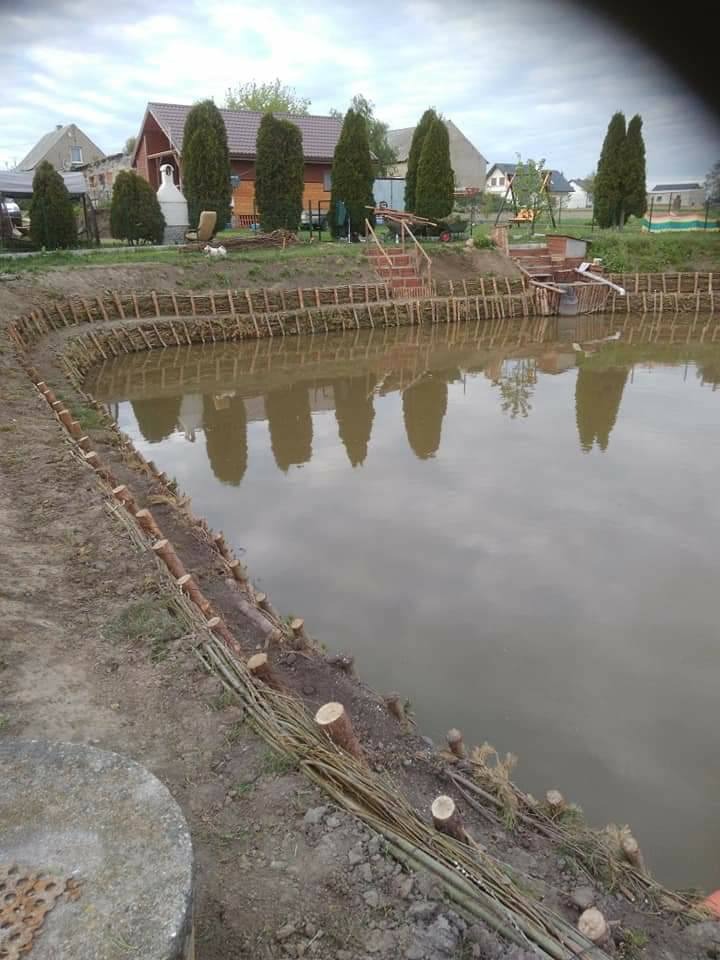 Staw z brzegiem umocnionym wikliną i drewnianymi palikami, w tle domy i tuje.