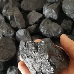 Bryła węgla trzymana w dłoni na tle większej ilości węgla w przezroczystym pojemniku.
