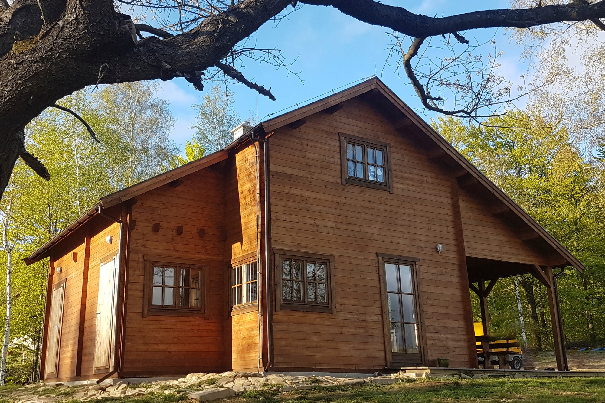 Letniskowy dom z bali w odcieniach brązu, z widoczną fakturą drewna, usytuowany na skraju lasu, z fragmentem gałęzi drzewa w górnej części kadru.