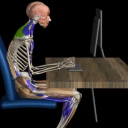 Grafika 3D przedstawiająca szkielet i mięśnie człowieka siedzącego przy biurku w nieprawidłowej pozycji, zgarbione plecy i wysunięta szyja, ilustrująca potencjalne problemy zdrowotne związane...