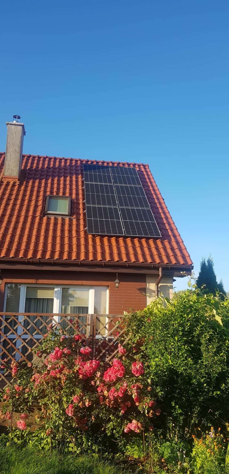 Panele słoneczne zamontowane na czerwonym dachu domu jednorodzinnego, widoczne z poziomu ogrodu z kwitnącymi różami.