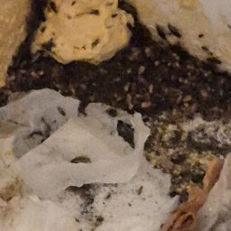 Sprzątanie mieszkań Szczecin 2