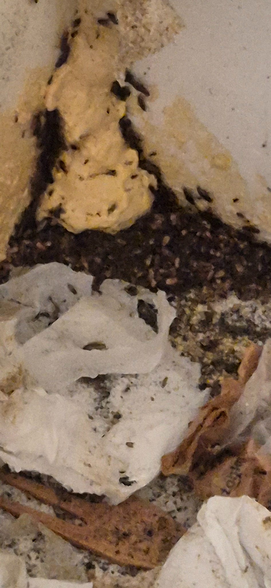 Zacieki i zabrudzenia na ścianie oraz resztki po czyszczeniu, widoczne plamy i fragmenty papieru.