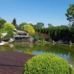 Budowa oczka wodnego