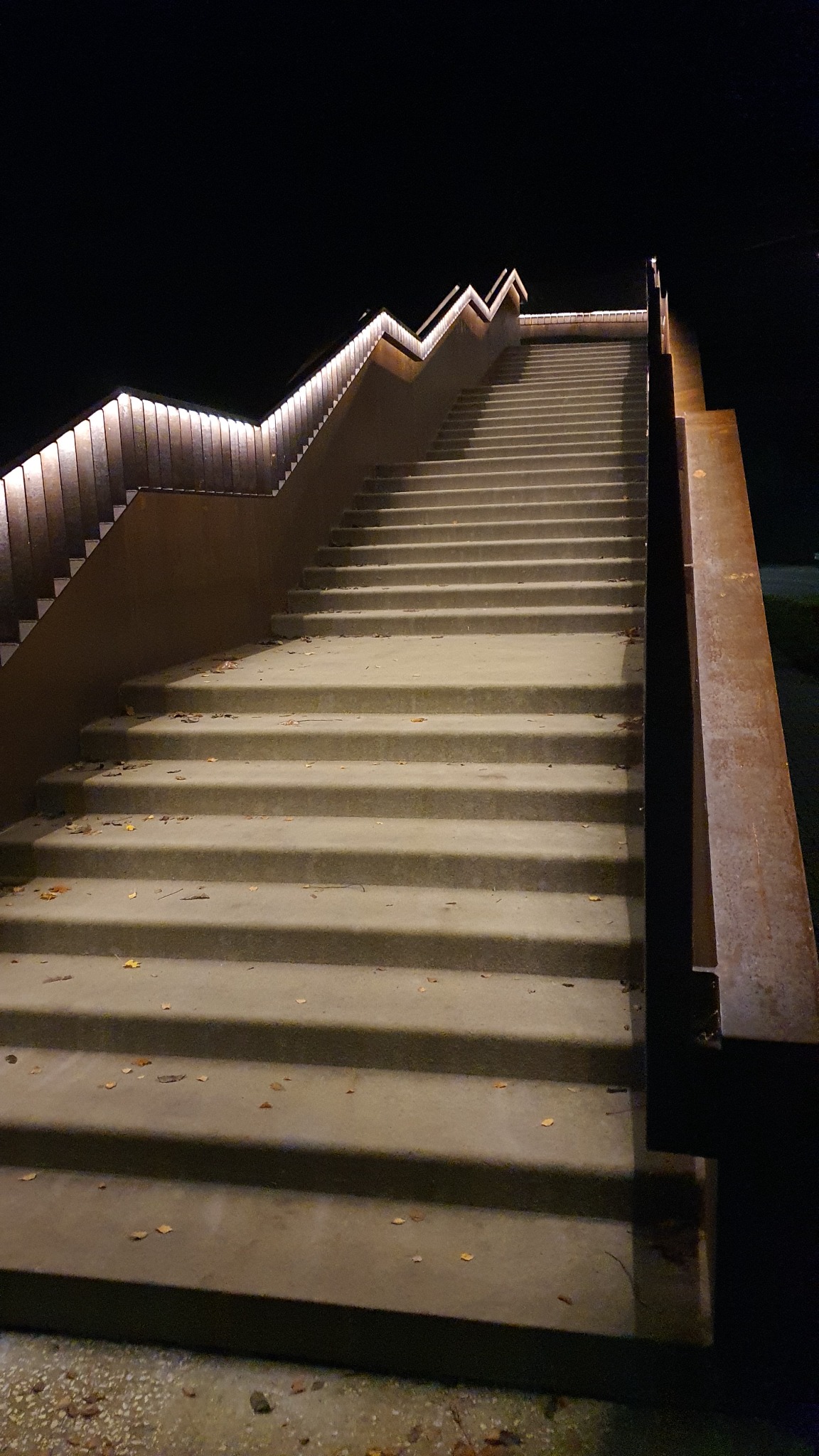 Oświetlone schody zewnętrzne z metalowymi barierkami, widok z dołu w nocy, liście na stopniach.