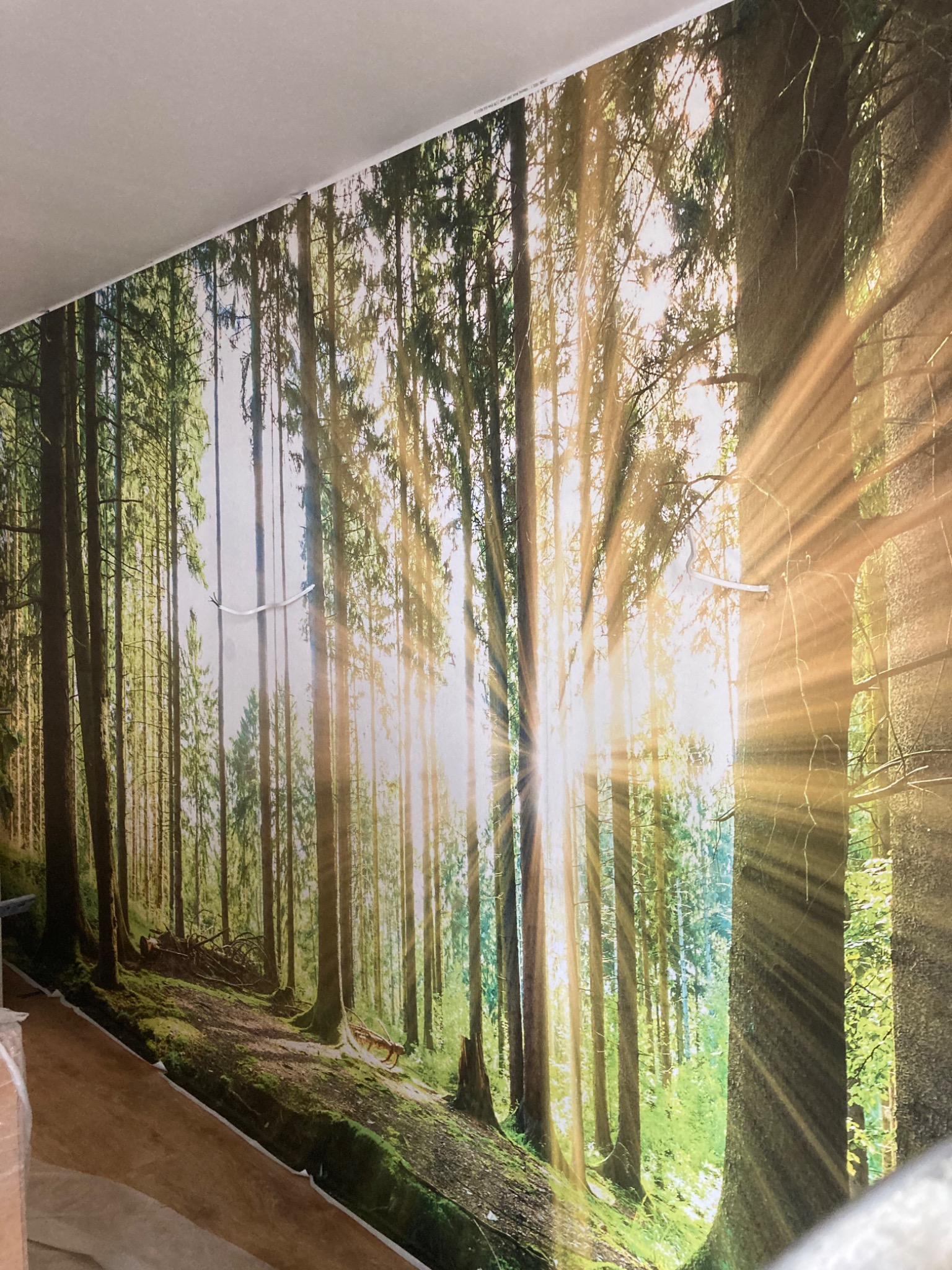 Fototapeta z motywem leśnym na ścianie, z promieniami słońca przebijającymi się przez drzewa. Widoczne niedoskonałości montażu przy suficie.