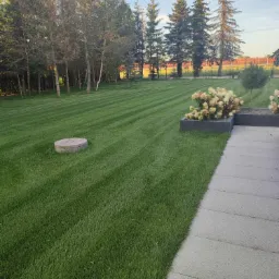 Perfekcyjnie skoszony trawnik w pasy, z betonową studzienką w tle, otoczony drzewami, z rabatami kwiatowymi przy ścieżce z płyt.