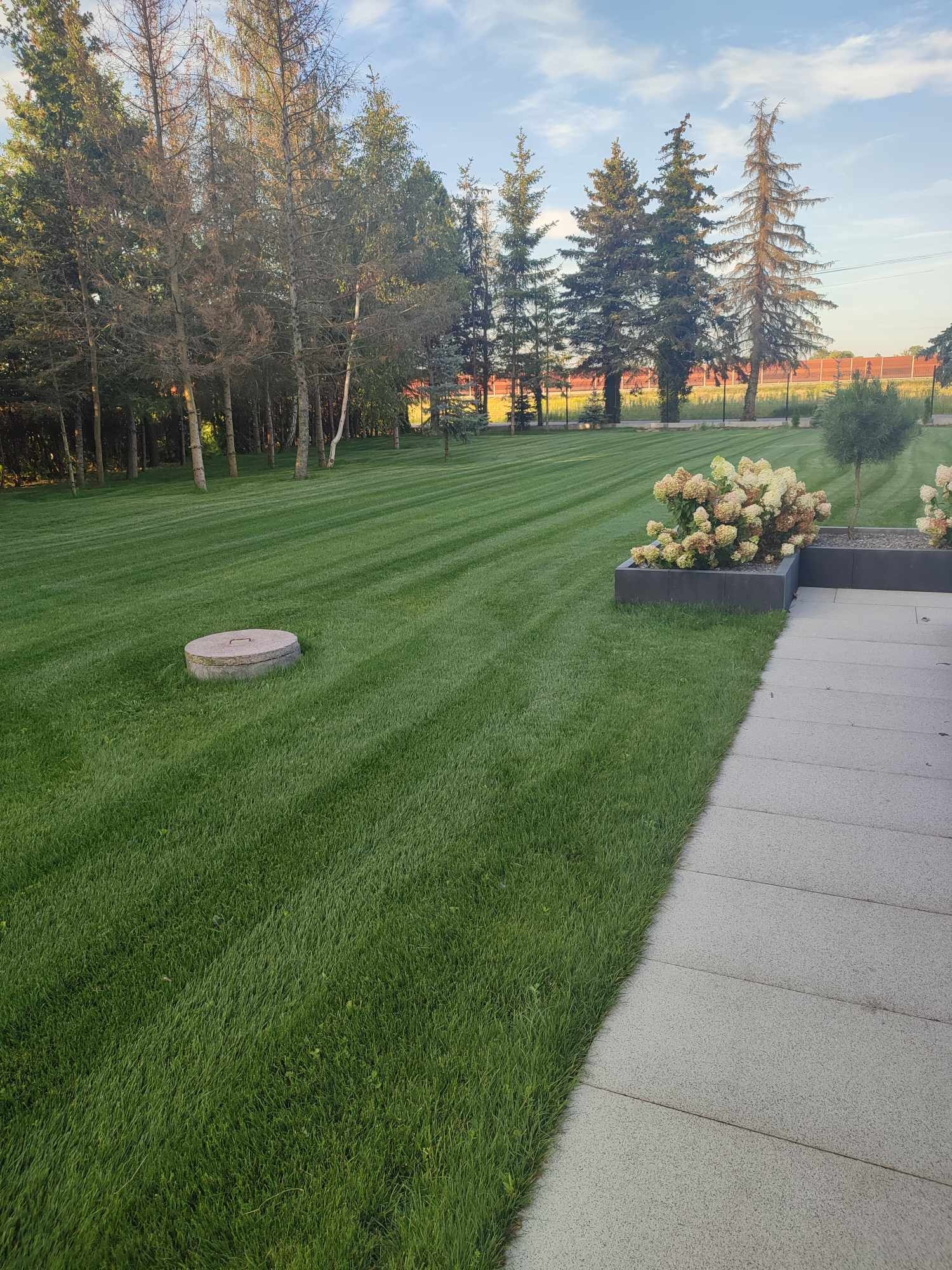 Perfekcyjnie skoszony trawnik w pasy, z betonową studzienką w tle, otoczony drzewami, z rabatami kwiatowymi przy ścieżce z płyt.