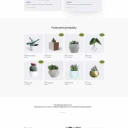 Kompleksowo wykonany przez na sklep internetowy oparty na platformie WooCommerce