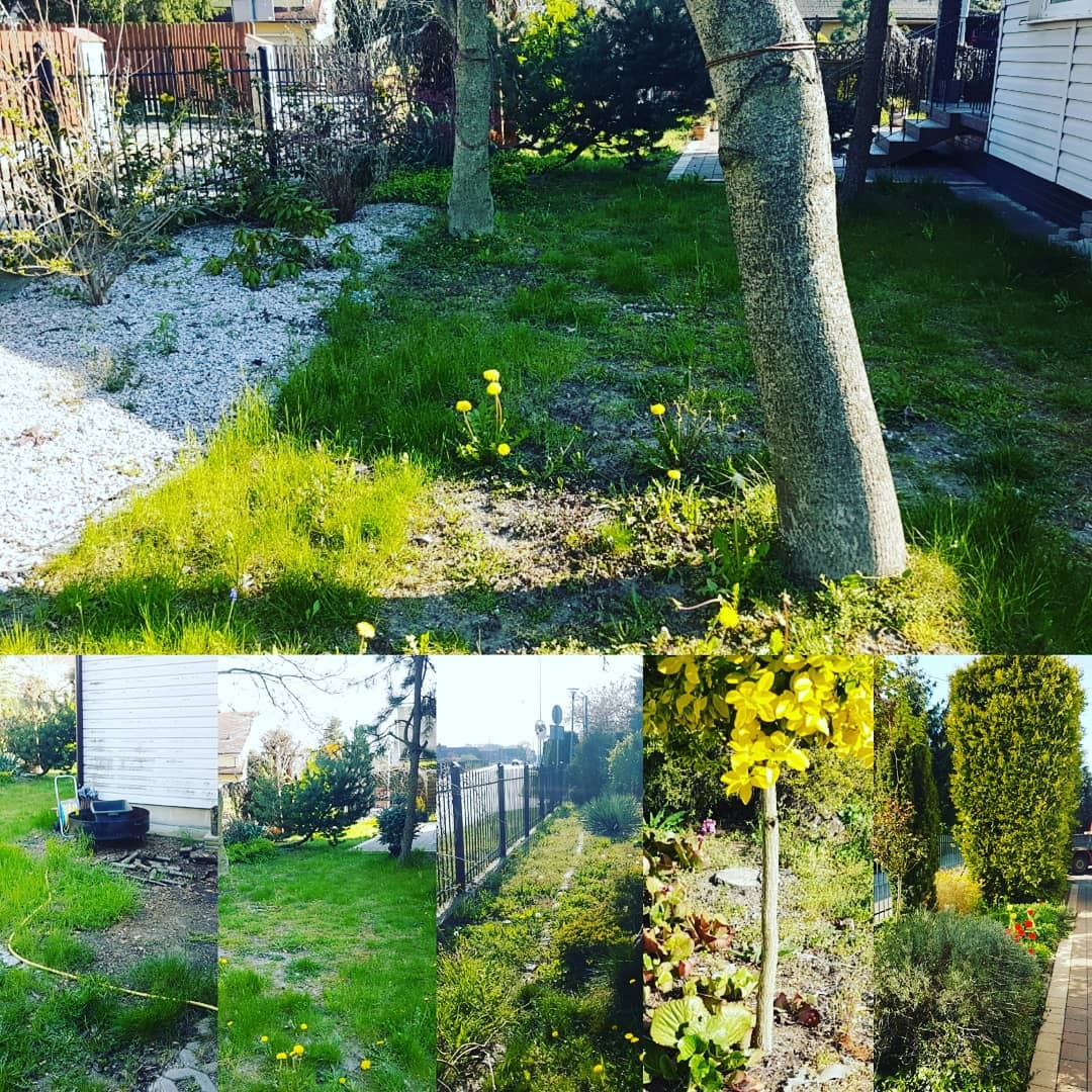 Rewitalizacja ogrodu / przed rozpoczęciem prac