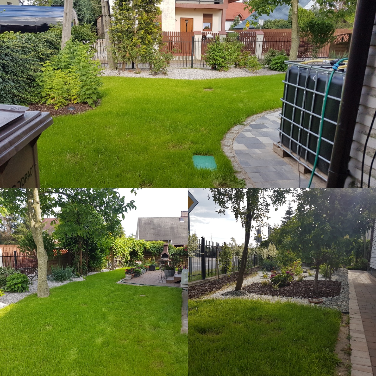 Rewitalizacja ogrodu / po wykonaniu pracy
