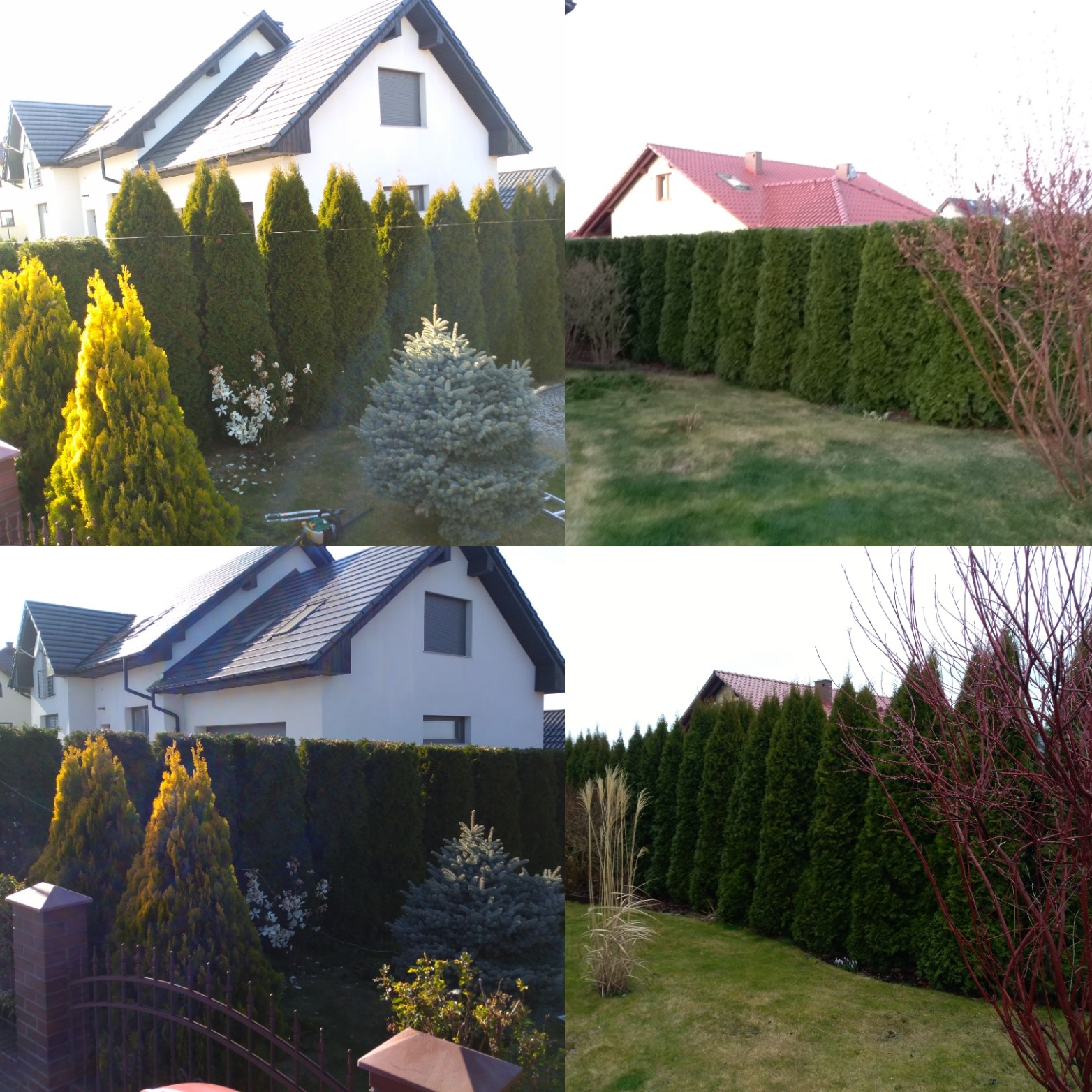 Przycinanie krzewów