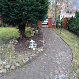 Ogród z ścieżką z kostki, duży, ciemnozielony krzew iglasty, rabata z kamieniami i latarenką ogrodową, w tle brama wjazdowa i dom.