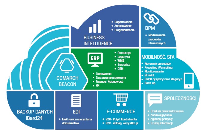 Graficzna reprezentacja chmury obliczeniowej z modułami: Business Intelligence, ERP, BPM, Mobilność SFA, Backup Danych, EDI, E-commerce i Społeczności.