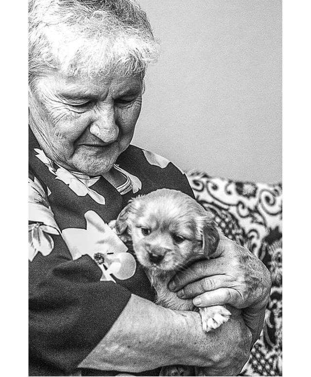 Czarno-białe zdjęcie starszej kobiety trzymającej w ramionach małego, jasnego szczeniaka, oboje patrzą w dół, kobieta ma na sobie bluzkę w kwiaty, w tle wzorzysta narzuta.