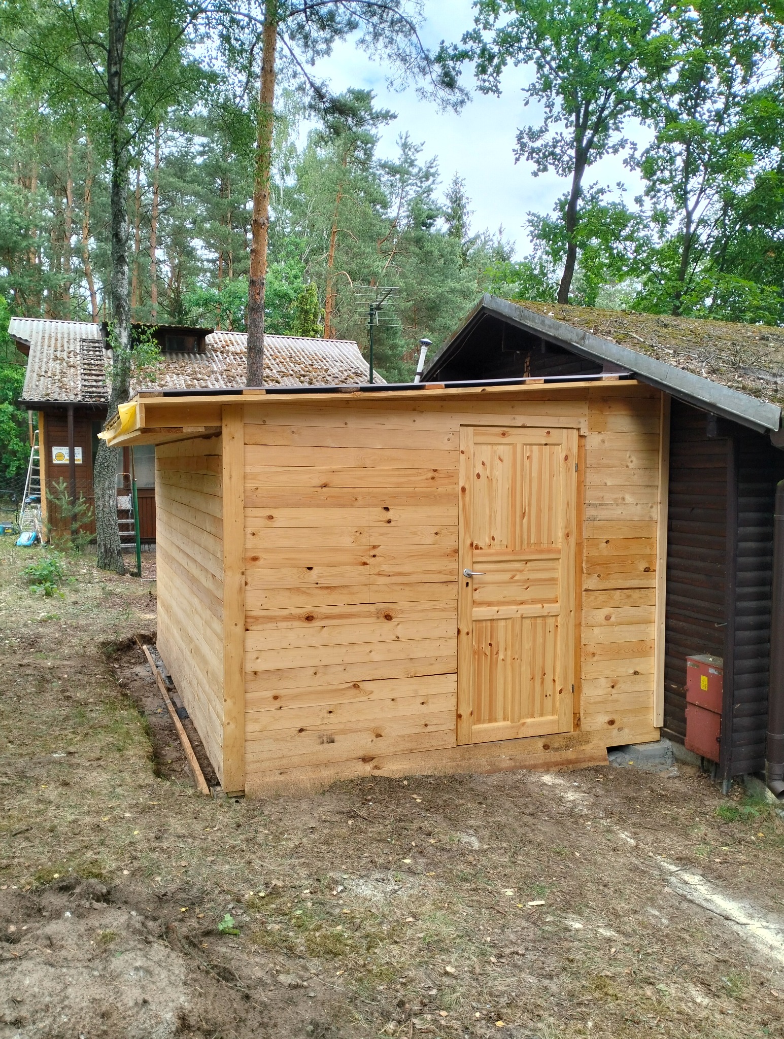 Świeżo postawiony, surowy drewniany budynek gospodarczy z drzwiami, widoczny na tle leśnej działki z innymi budynkami w tle.