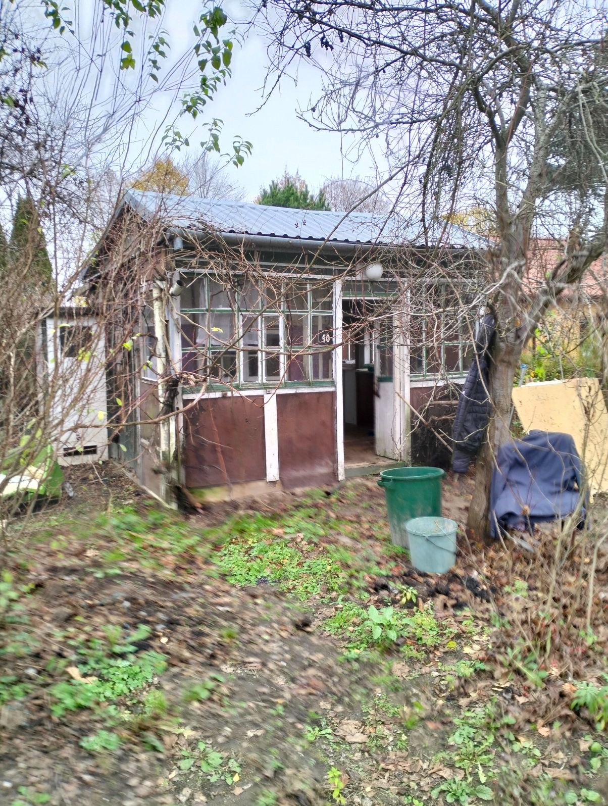 Zaniedbana, częściowo oszklona altana ogrodowa z numerem '40' nad wejściem, otoczona opadłymi liśćmi i nagimi gałęziami drzew, z dwoma plastikowymi wiadrami obok.