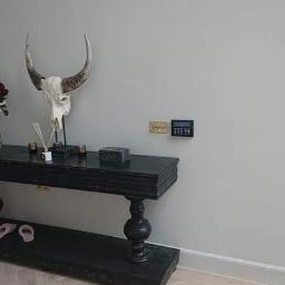 Mateusz Świeczkowski - Jasnoszara ściana z ciemną konsolą, na której stoi wazon z kwiatami, czaszka byka z rogami, dyfuzor zapachowy i pudełko; na ścianie zamontowany panel alarmowy.