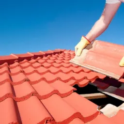 naprawa zniszczonego ocieplenia przez kune