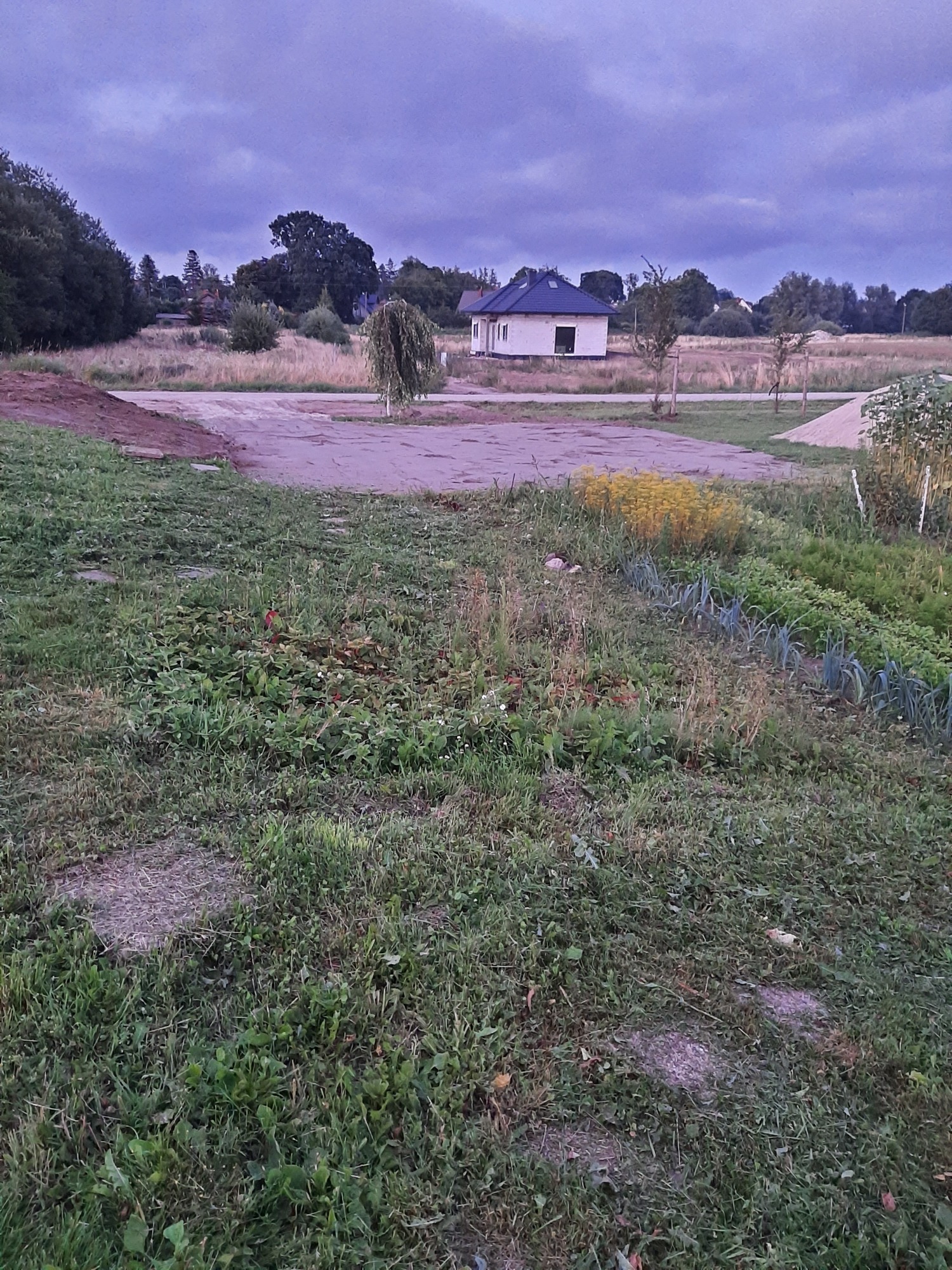 Przygotowany teren pod budowę domu jednorodzinnego, widoczny fundament, wyrównana działka, drzewa w tle, pochmurne niebo.