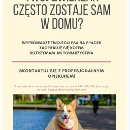 HappyTail - Petsitting & Dog Walking - Wyprowadzanie Psów Warszawa